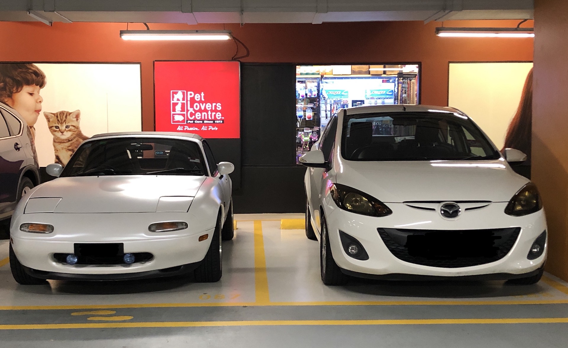 Mazda MX5 vs Mazda2