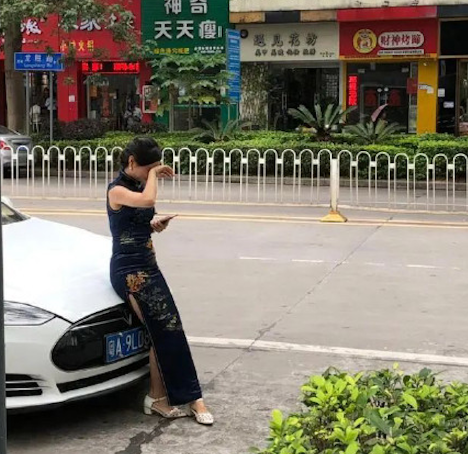 BYD Song charges Teals Model S
