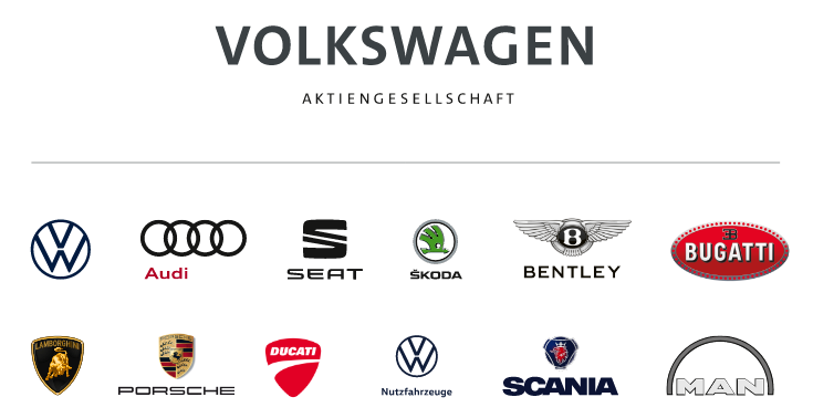 Volkswagen group sales india