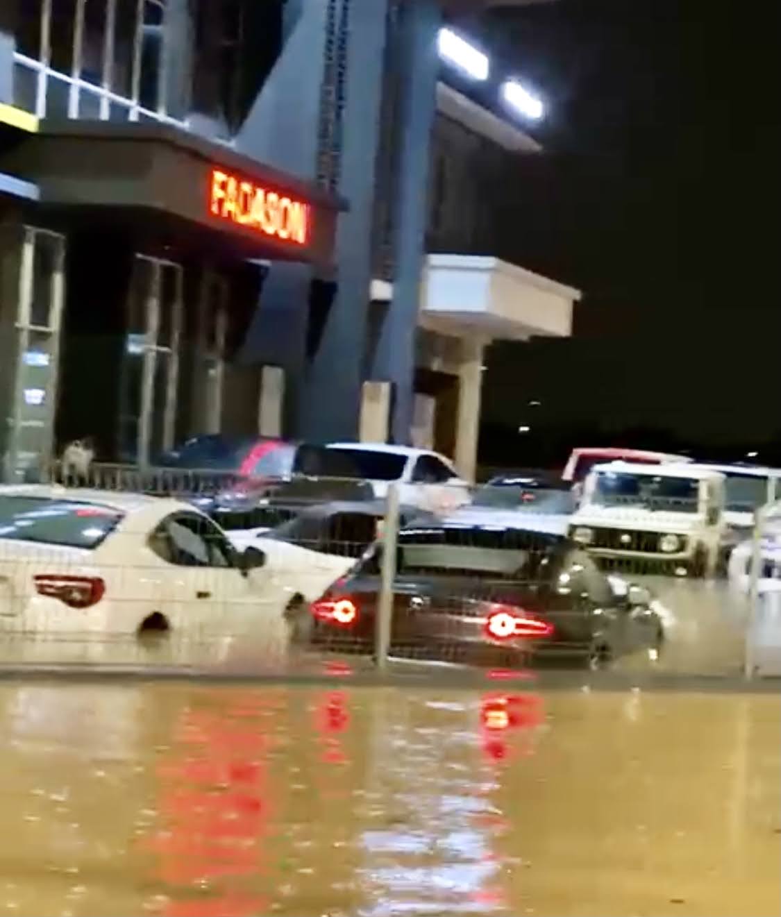 Flooded exotic cars