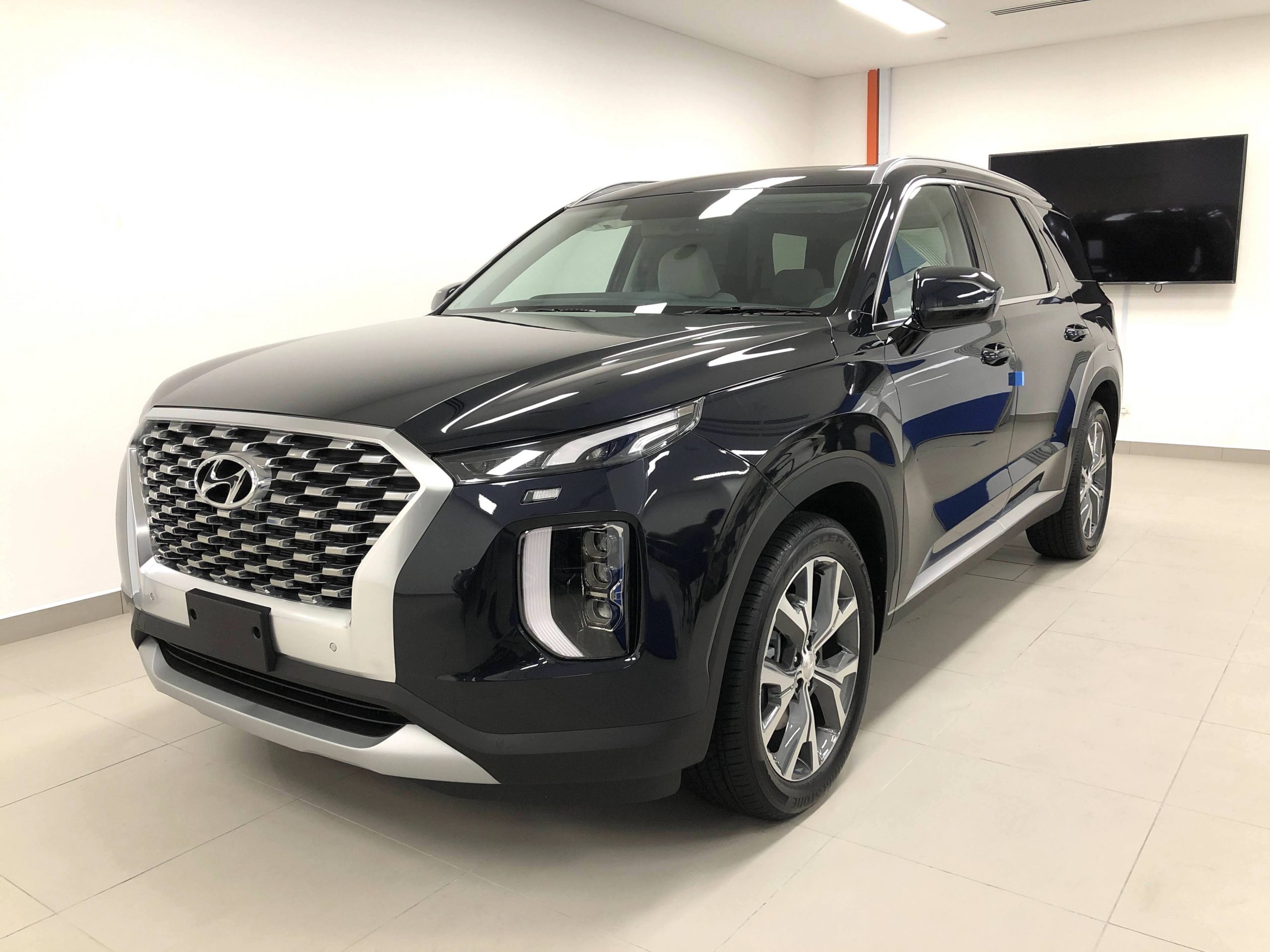 Hyundai Palisade_E-Segment_1