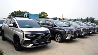 Hyundai STARGAZER