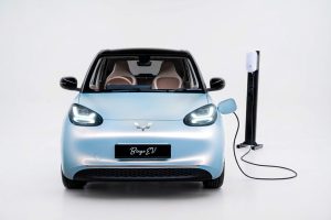 Bingo EV