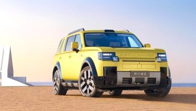 Freelander 8
