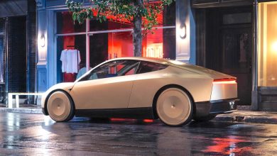 Tesla Robotaxi