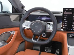 Luxeed RX Coupe SUV