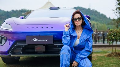 LUXEED Stormax